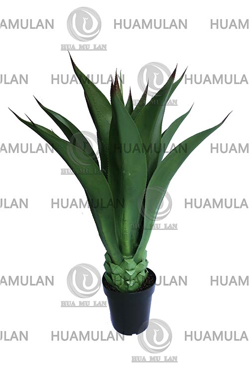 AGEVE-PLANT(120CM)