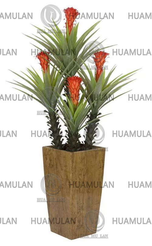 (135CM)