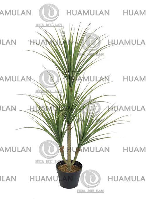 AGAVE-PLANT(155CM)