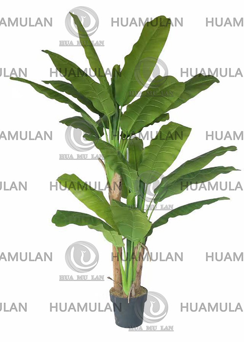 688202-BANANA-TREE-(3-240CM)