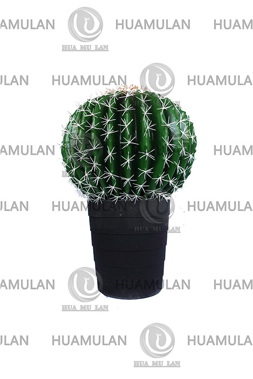 638202-CACTUS(1-38CM)