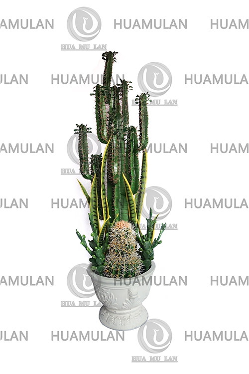 CACTUS(10-160CM)
