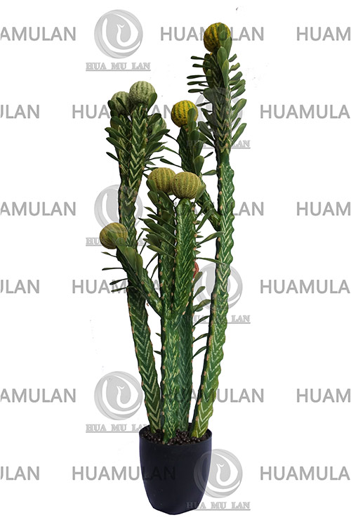 -(13-130CM)