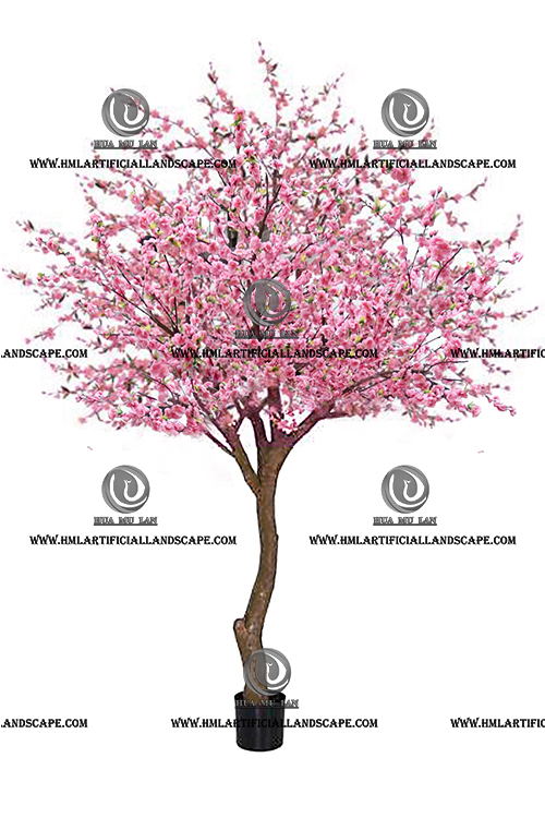 PEACH BLOSSOM