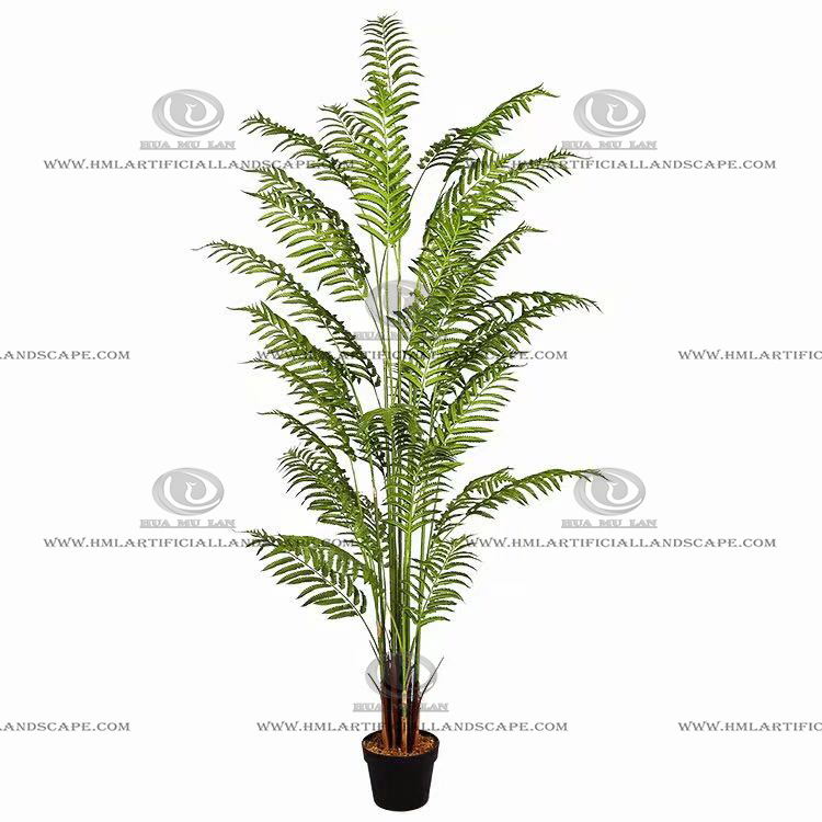 ARECA PALM