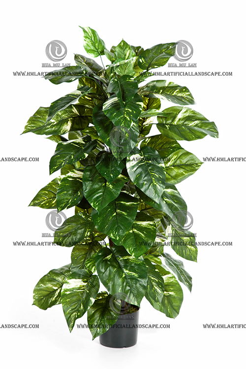 POTHOS ON POLE