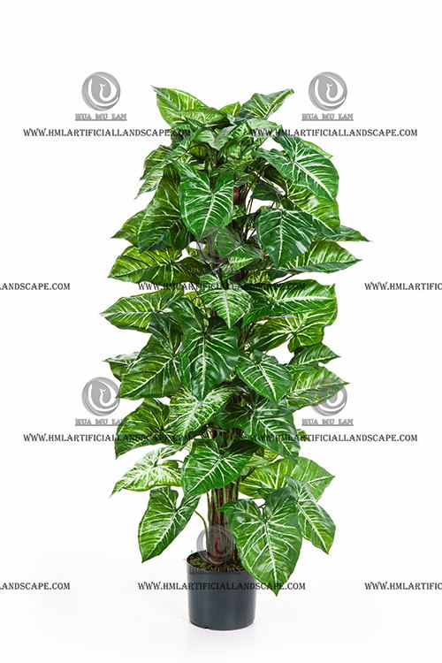 POTHOS ON POLE