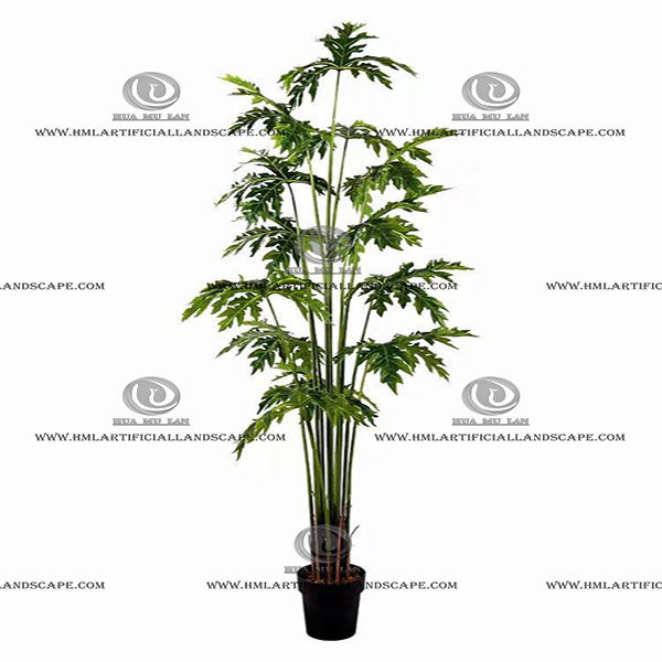 SPLIT PHILO PLANT