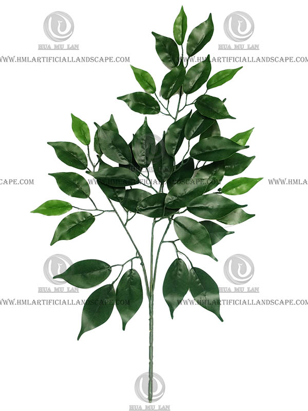 FICUS-SPRAY
