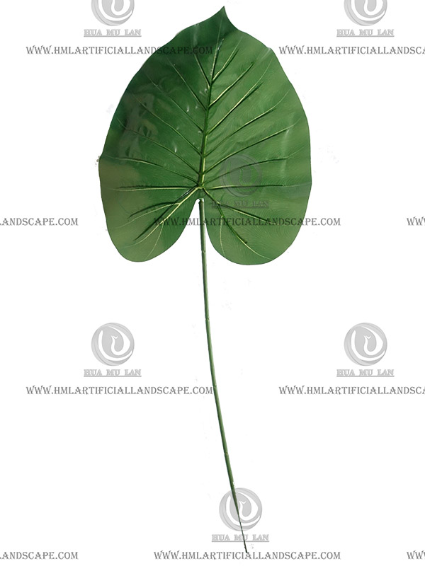 RARO LEAF