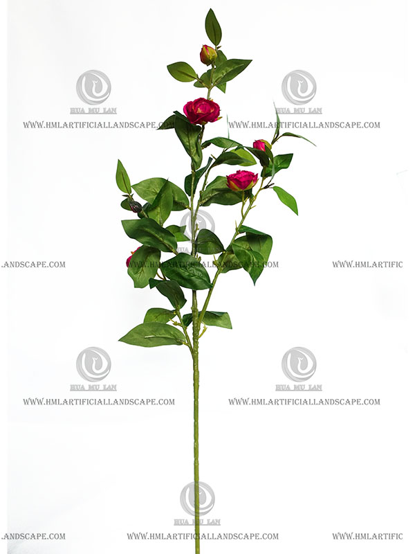 CAMELLIA SPRAY