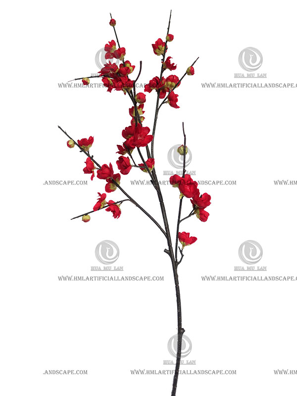 PLUM BLOSSOM