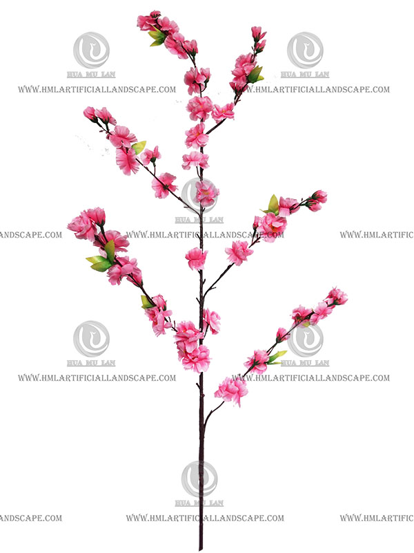 PEACH BLOSSOM