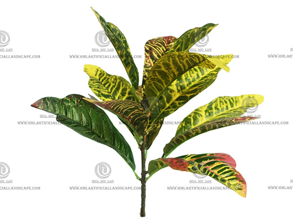 CROTON