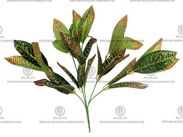 CROTON