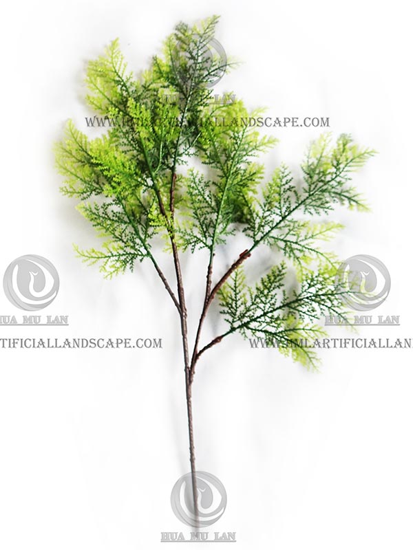 CYPRESS SPRAY