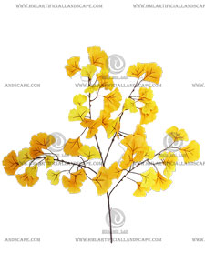 GINKGO LEAF