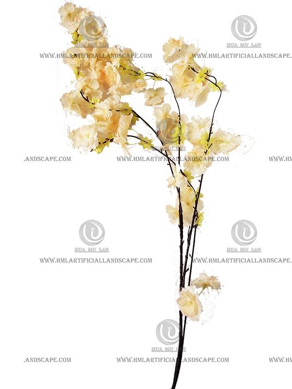 CHERRY BRANCH