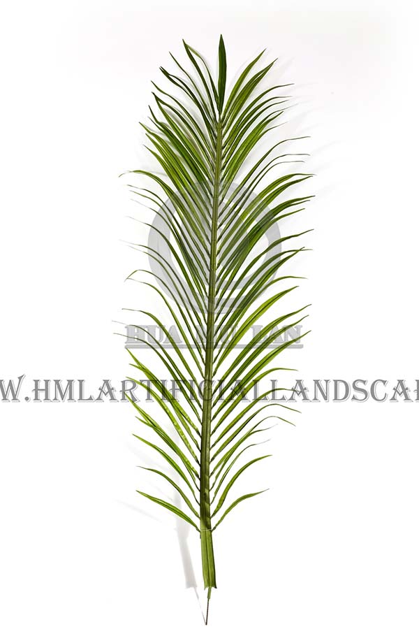 ARECA PALM FROND