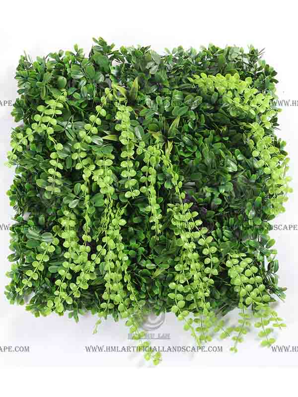 GRASS