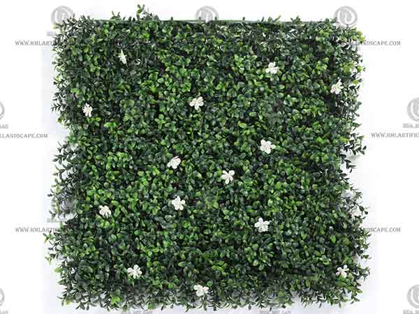 GRASS