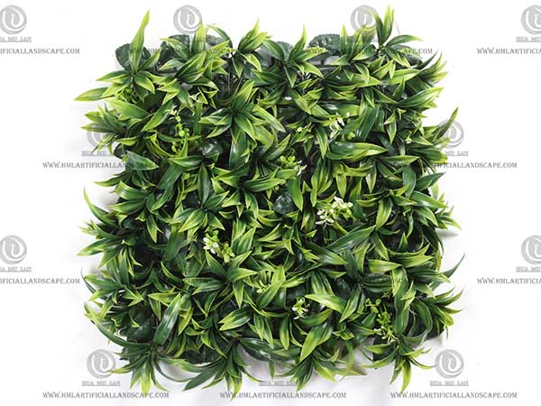 GRASS