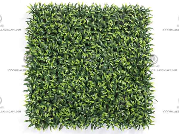 GRASS
