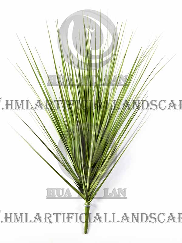 ONION GRASS BUSH