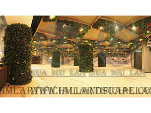 ̈(chng)ֲ